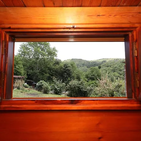 Cozy Mountain House Surrounded By Nature In Beykoz Стамбул
